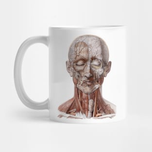 Vintage Human Anatomy Science, Head Throat Nose Mug